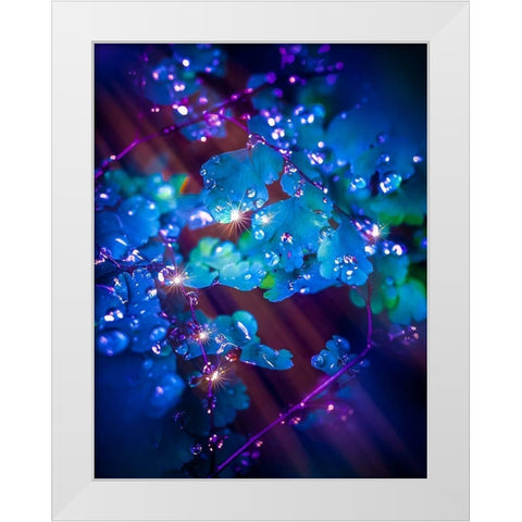 IMG_7586 White Modern Wood Framed Art Print by Love Grams