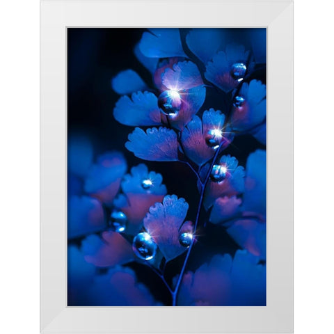 IMG_7587 White Modern Wood Framed Art Print by Love Grams