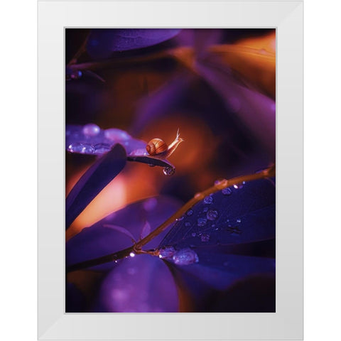 IMG_7588 White Modern Wood Framed Art Print by Love Grams