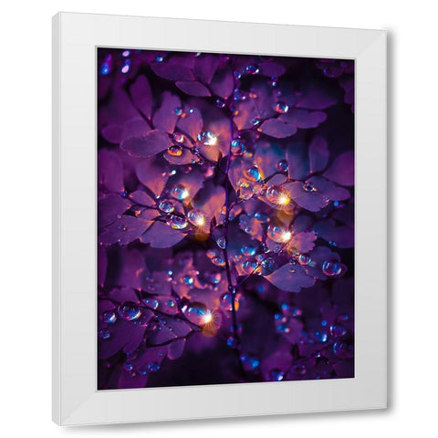 IMG_7591 White Modern Wood Framed Art Print by Love Grams