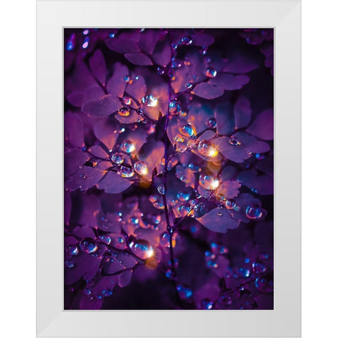 IMG_7591 White Modern Wood Framed Art Print by Love Grams