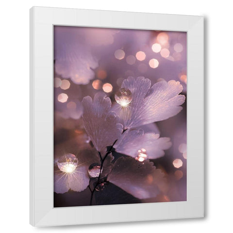 IMG_7594 White Modern Wood Framed Art Print by Love Grams