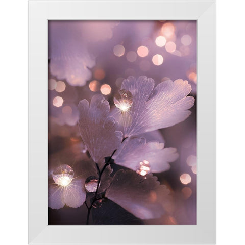 IMG_7594 White Modern Wood Framed Art Print by Love Grams
