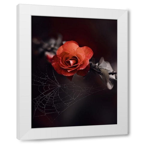 IMG_7596 White Modern Wood Framed Art Print by Love Grams