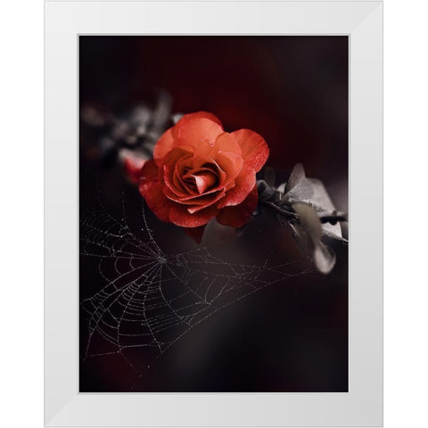 IMG_7596 White Modern Wood Framed Art Print by Love Grams