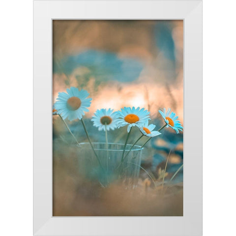 Blue Daisies White Modern Wood Framed Art Print by Love Grams