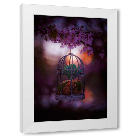 Caged at Dusk White Modern Wood Framed Art Print by Love Grams