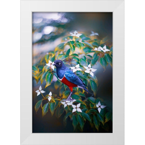 Dark Memory White Modern Wood Framed Art Print by Love Grams