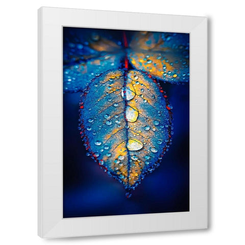Drops of Jupiter White Modern Wood Framed Art Print by Love Grams