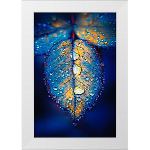 Drops of Jupiter White Modern Wood Framed Art Print by Love Grams