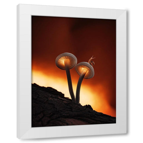 Fiery Mushrooms White Modern Wood Framed Art Print by Love Grams
