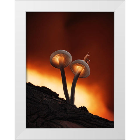 Fiery Mushrooms White Modern Wood Framed Art Print by Love Grams