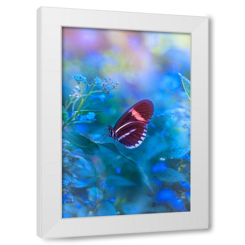 Forget Me Not White Modern Wood Framed Art Print by Love Grams