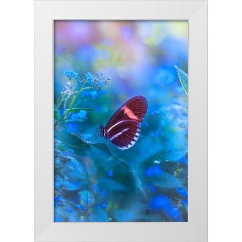 Forget Me Not White Modern Wood Framed Art Print by Love Grams