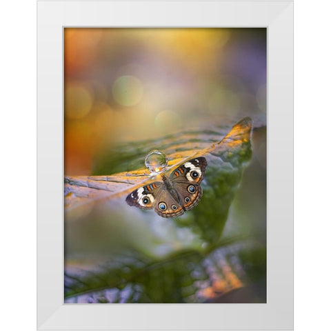 Green Haze White Modern Wood Framed Art Print by Love Grams