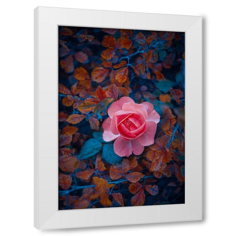 If There Be Thorns White Modern Wood Framed Art Print by Love Grams