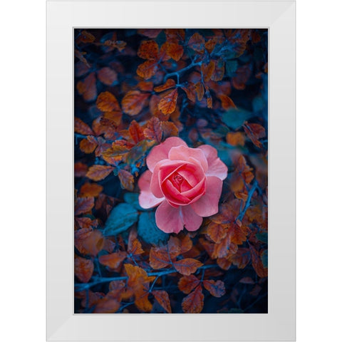 If There Be Thorns White Modern Wood Framed Art Print by Love Grams