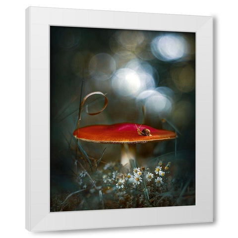 Mushroom Fantasy White Modern Wood Framed Art Print by Love Grams