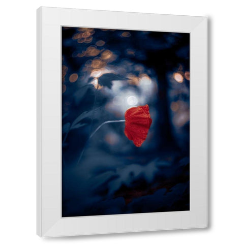 Night of the Poppy White Modern Wood Framed Art Print by Love Grams