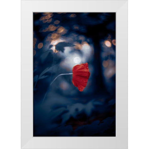 Night of the Poppy White Modern Wood Framed Art Print by Love Grams