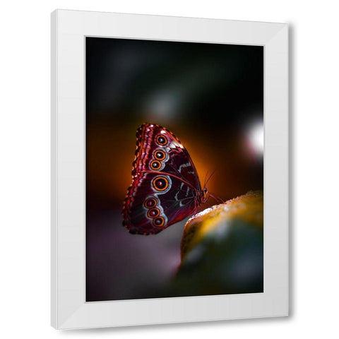 Owl Wings White Modern Wood Framed Art Print by Love Grams