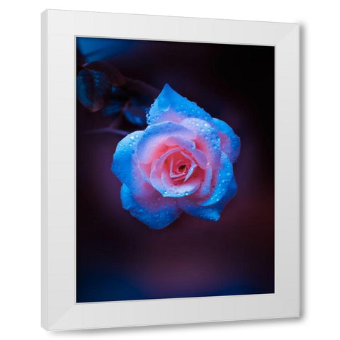 Rose Drops White Modern Wood Framed Art Print by Love Grams