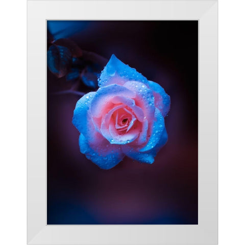 Rose Drops White Modern Wood Framed Art Print by Love Grams