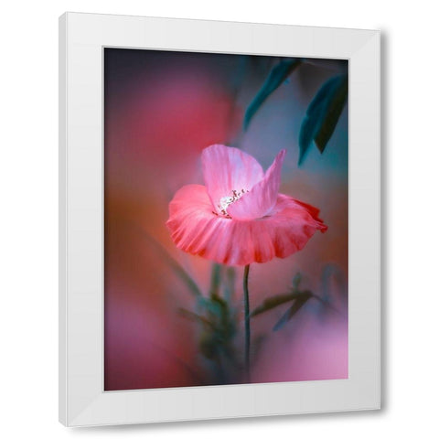 Summer Warmth White Modern Wood Framed Art Print by Love Grams