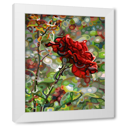 Last Rose Of Summer White Modern Wood Framed Art Print by Budan, Mandy