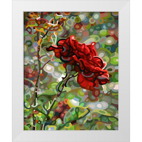 Last Rose Of Summer White Modern Wood Framed Art Print by Budan, Mandy
