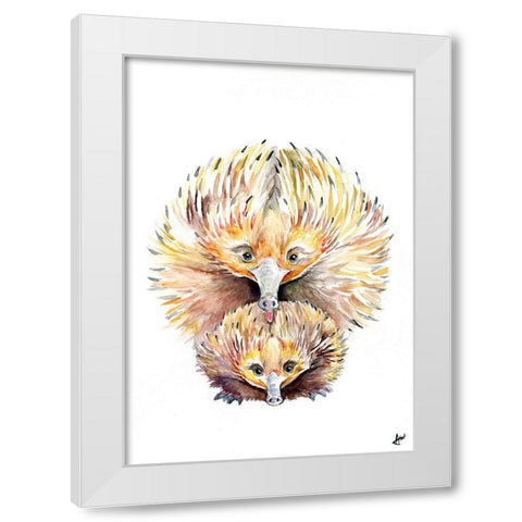 Enigmatic Echidnas White Modern Wood Framed Art Print by Allante, Marc