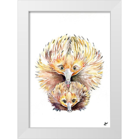 Enigmatic Echidnas White Modern Wood Framed Art Print by Allante, Marc
