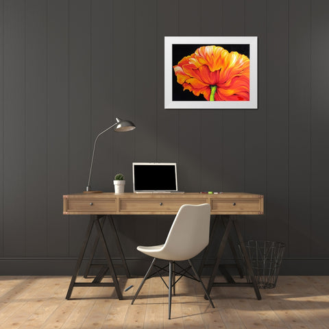 A Single Poppy White Modern Wood Framed Art Print by Baldwin, Marcia