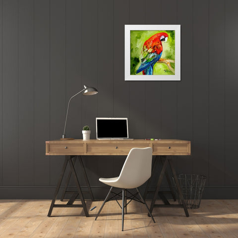 Macaw Tropical White Modern Wood Framed Art Print by Baldwin, Marcia