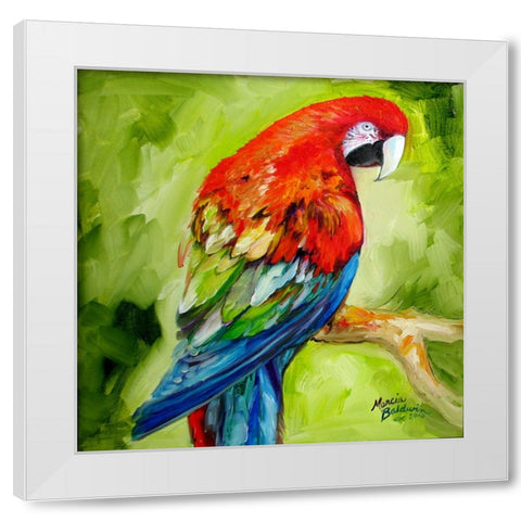 Macaw Tropical White Modern Wood Framed Art Print by Baldwin, Marcia