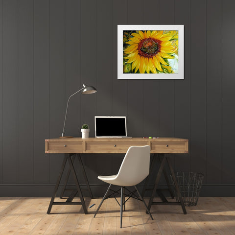 Sundown Sunflower White Modern Wood Framed Art Print by Baldwin, Marcia