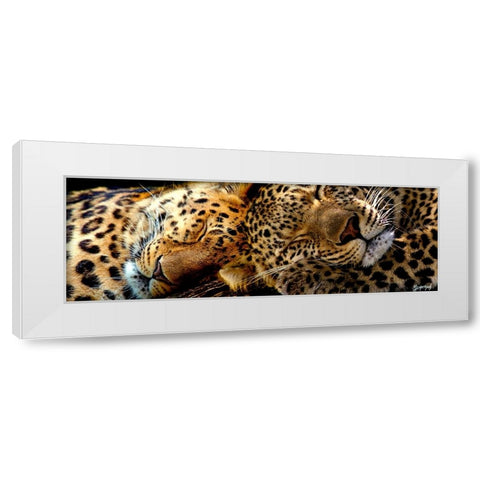 Two Sleepers Cheetahs White Modern Wood Framed Art Print by Murray Henderson Fine Art