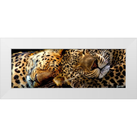 Two Sleepers Cheetahs White Modern Wood Framed Art Print by Murray Henderson Fine Art