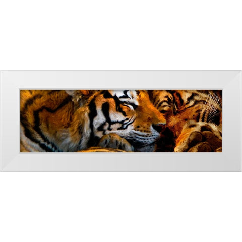 Tigers Sleep White Modern Wood Framed Art Print by Murray Henderson Fine Art