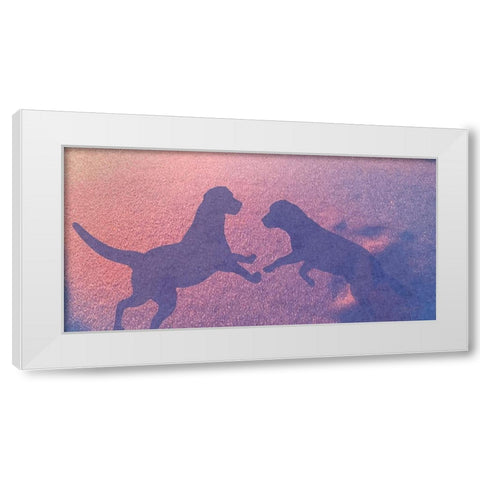 Lab Shadows White Modern Wood Framed Art Print by Murray Henderson Fine Art