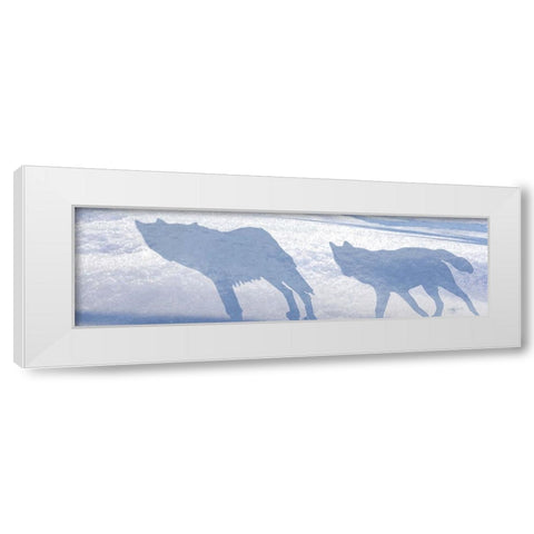 Wolf Pack Shadows White Modern Wood Framed Art Print by Murray Henderson Fine Art
