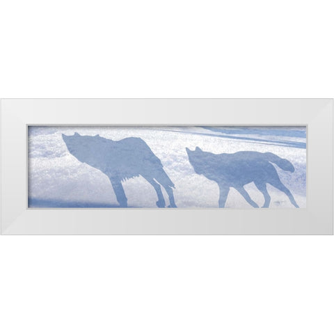 Wolf Pack Shadows White Modern Wood Framed Art Print by Murray Henderson Fine Art