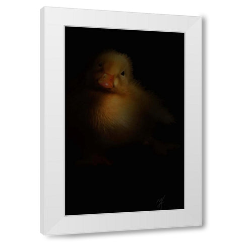 Duckling White Modern Wood Framed Art Print by Murray Henderson Fine Art
