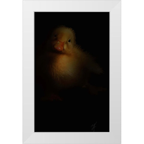 Duckling White Modern Wood Framed Art Print by Murray Henderson Fine Art