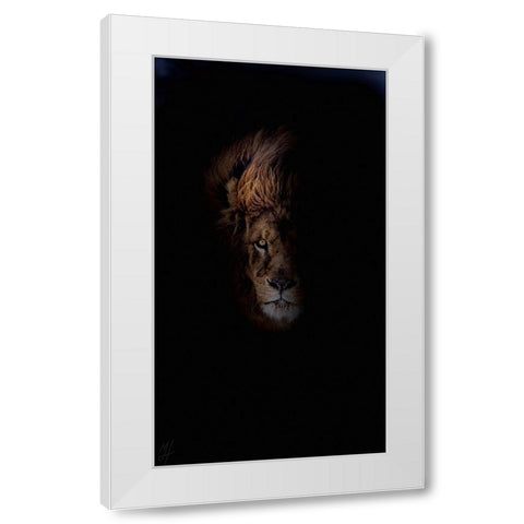 Lion White Modern Wood Framed Art Print by Murray Henderson Fine Art