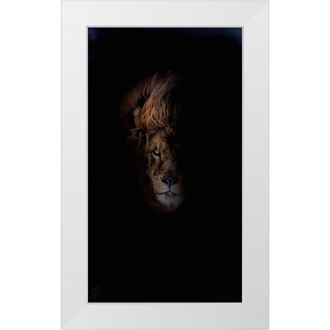 Lion White Modern Wood Framed Art Print by Murray Henderson Fine Art