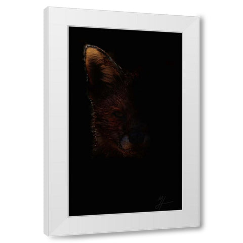 Out Fox White Modern Wood Framed Art Print by Murray Henderson Fine Art