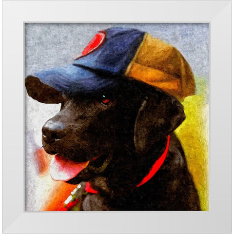 Rookie White Modern Wood Framed Art Print by Murray Henderson Fine Art