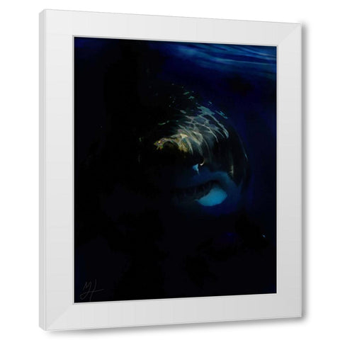 Shark Shadows (1) White Modern Wood Framed Art Print by Murray Henderson Fine Art