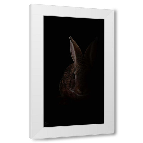 Wabbit White Modern Wood Framed Art Print by Murray Henderson Fine Art